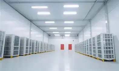 The Benefits of Cold Storage Pontianak for Maintaining the Quality of Your Business Products